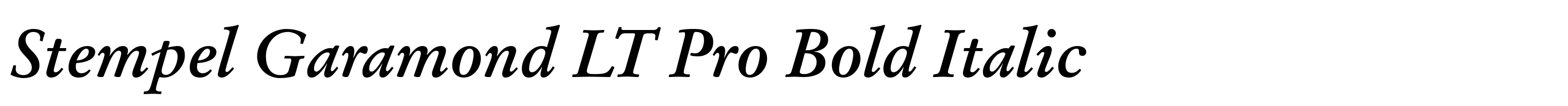Stempel Garamond LT Pro Bold Italic